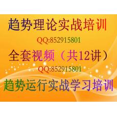 陈跃文 趋势理论技术培训实战视频 趋势运行实战学习培训课程（共12讲）