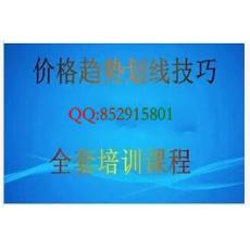 陈跃文 价格趋势划线技巧分析培训全套视频 股市期货外汇技术课程