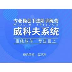 孟洪涛 2019年威科夫操盘法精华集训营10天实战培训 股票期货外汇内部培训课程（录音+上课讲义笔记）