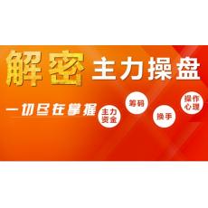 麦氏理论---解密主力操盘 破解主力操作手法 股票培训视频课程