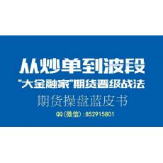 大金融家蒲晓伟 从炒单到波段期货晋级战法操盘交易系统 内部实战培训视频课程