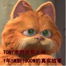 李法师XTony 滚仓顺势波段交易扛单风控实战策略技术心法 期货外汇内部资料培训课程