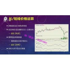 林洸兴 技术形态持续拐点突破周期趋势力量供需交易 期货内部培训视频课程