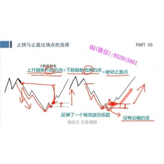 杨焱之 趋势起爆点被动止盈止损交易周期涨跌判断方法 期货实战培训视频课程