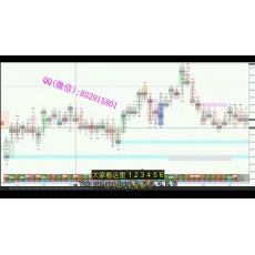 Mike 流动性多空专责订单流深度数据足迹图量价分析 外汇加密实战培训视频课程